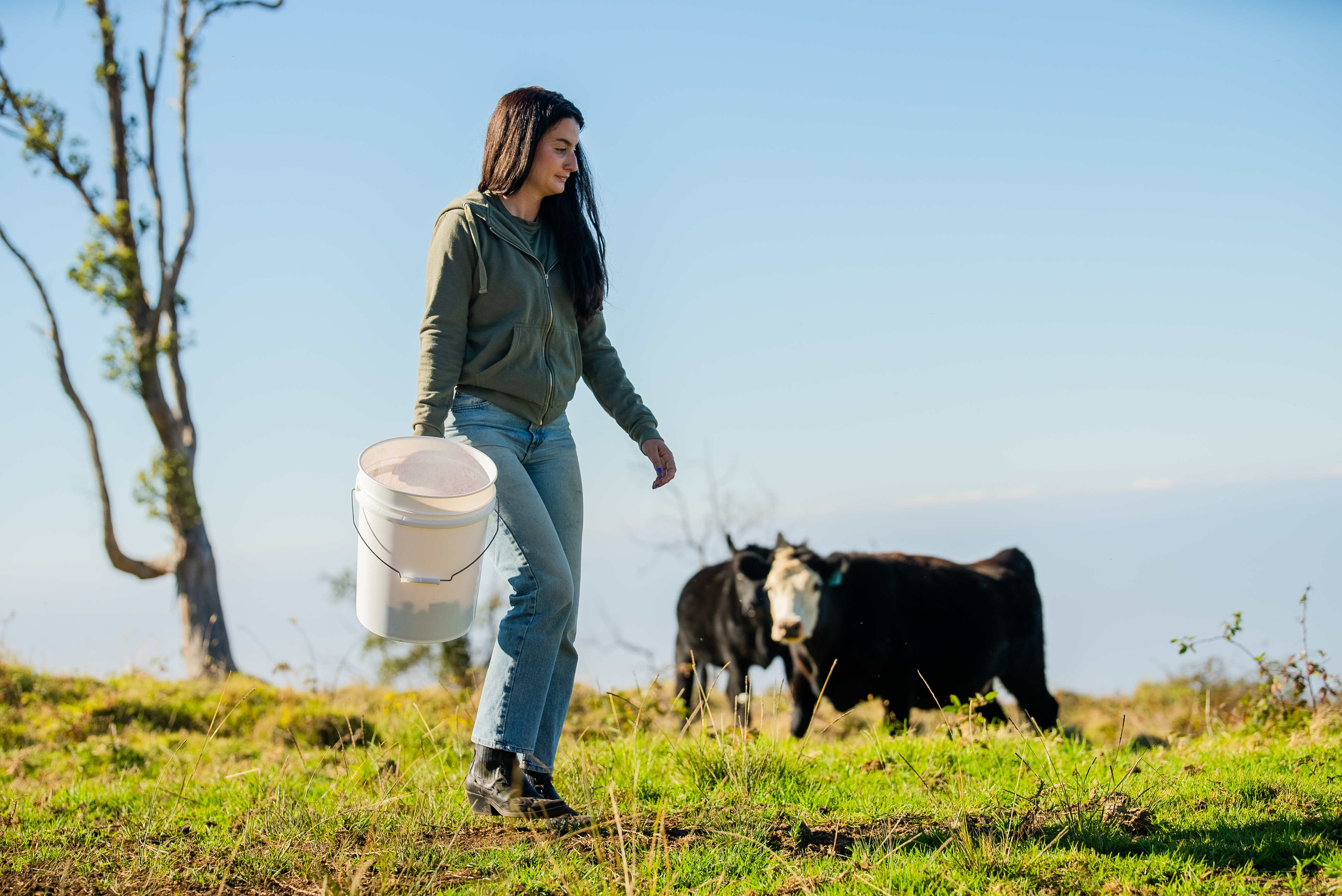 Alexia Akbay, Founder & CEO of Symbrosia on Parker Ranch, holding a white plastic bucket with two cattle in the background. 