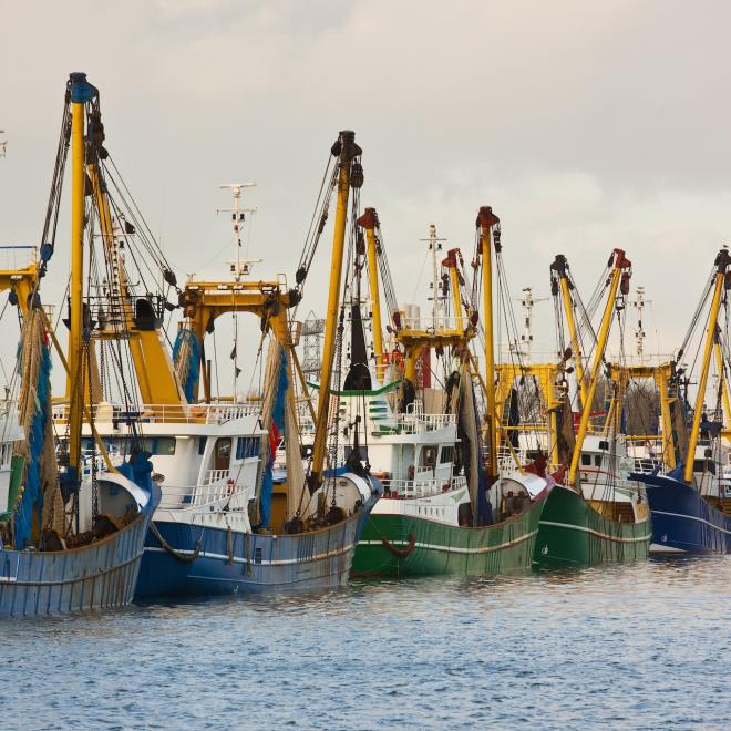 Trawler fleet docked at pier in Middelburg / Netherlands.