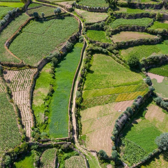 Andenes or platforms for agriculture in Peru.