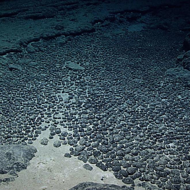 Polymetallic nodules on the the ocean floor. 