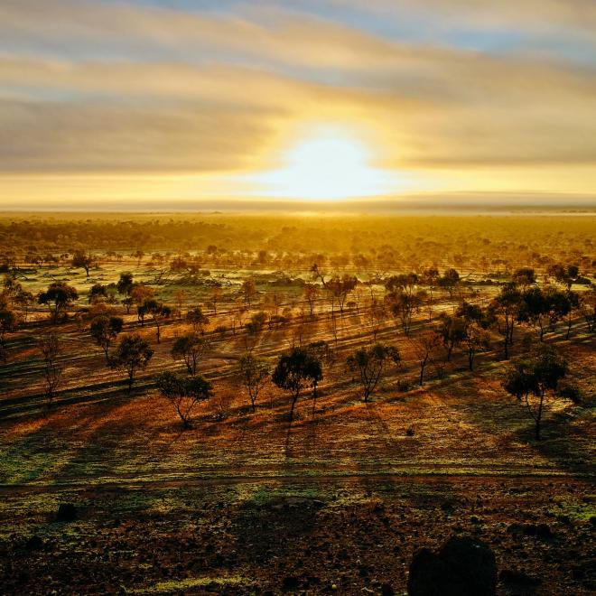 Yarra Yarra Biodiversity Corridor in Western Australia