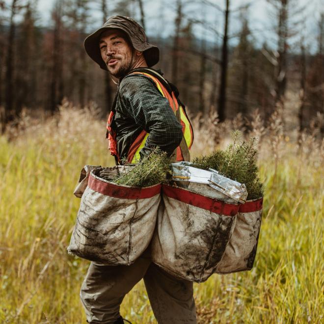 “Johnny Pineseed” near Williams Lake, British Columbia, Canada.