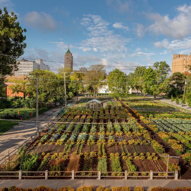 Urban Farming