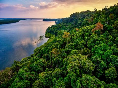 The Southern Cardamom Forest in southwest Cambodia.