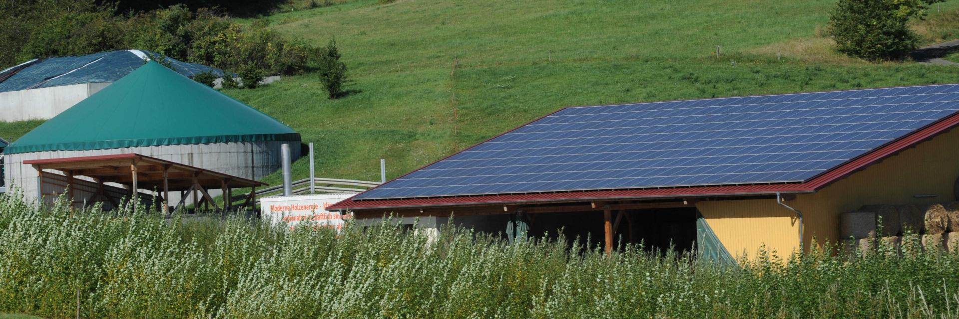 A small biogas plant rises above the green grass of a farming meadow in the bio-energy village of Mauenheim, Germany, 27 August 2012.