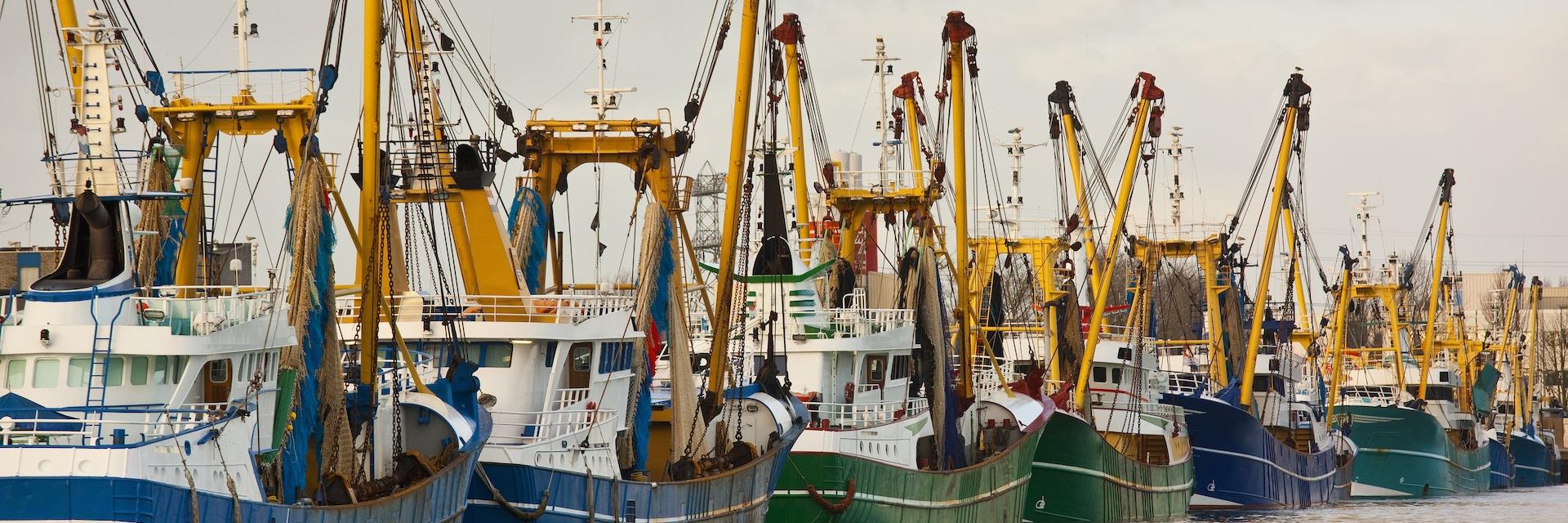 Trawler fleet docked at pier in Middelburg / Netherlands.