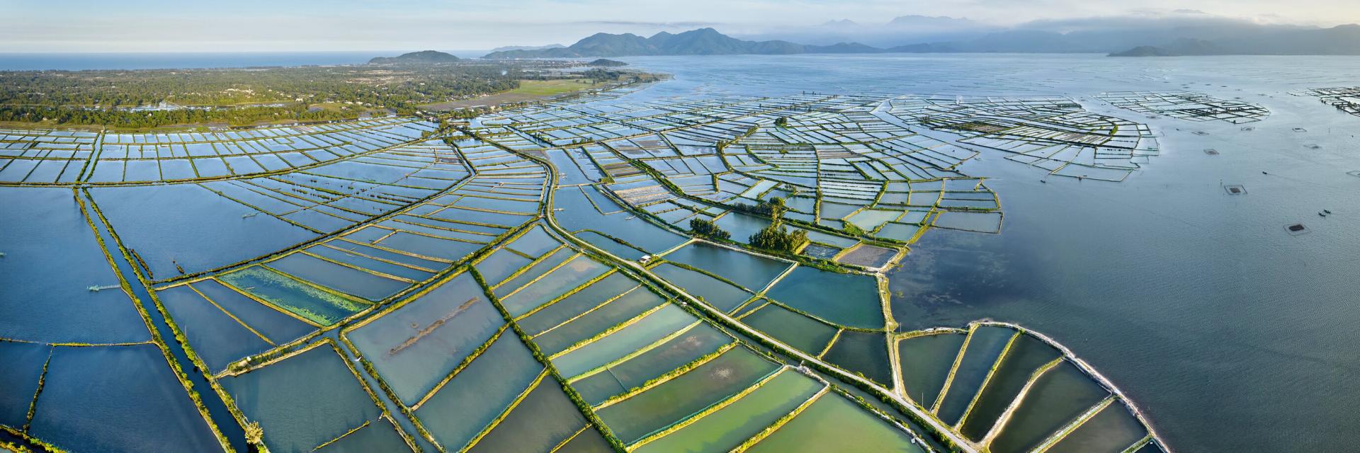 Aerial shot of aquaculture ponds in the Hue coastal lagoons, Vietnam.