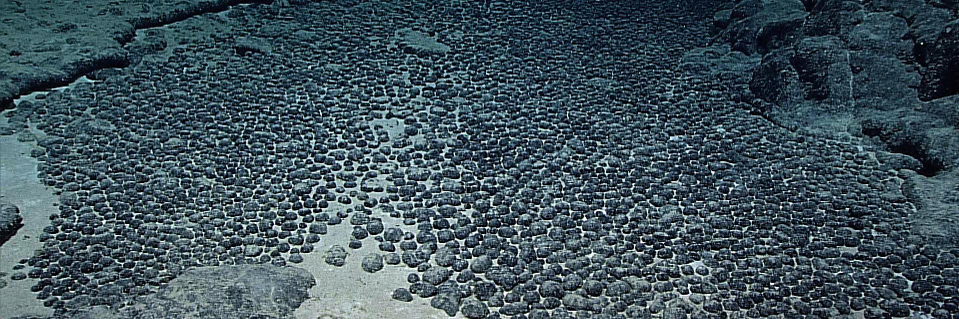 Polymetallic nodules on the the ocean floor.